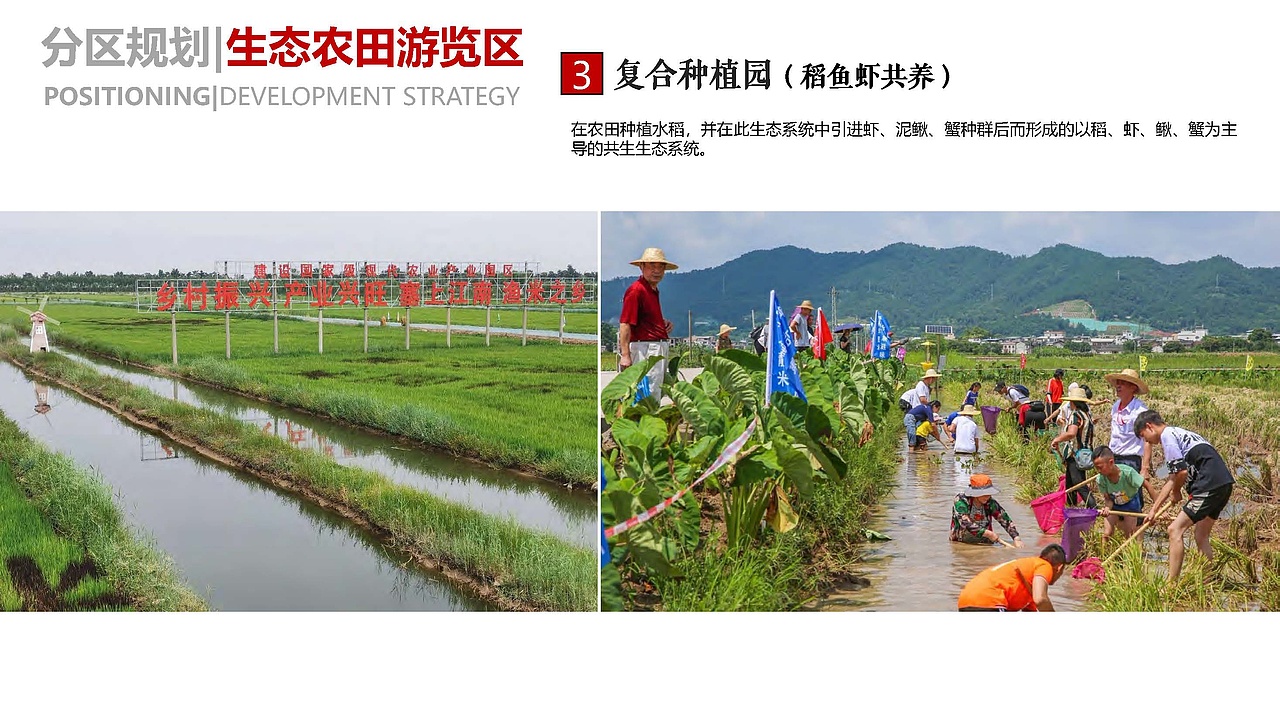于都梓山镇农文旅项目山峰坝农业公园乡村振兴规划方案（图ZMzE1ODMwOTEy） - 景观设计 - 站酷设计师诧迹景观原创素材 - 站酷ZCOOL