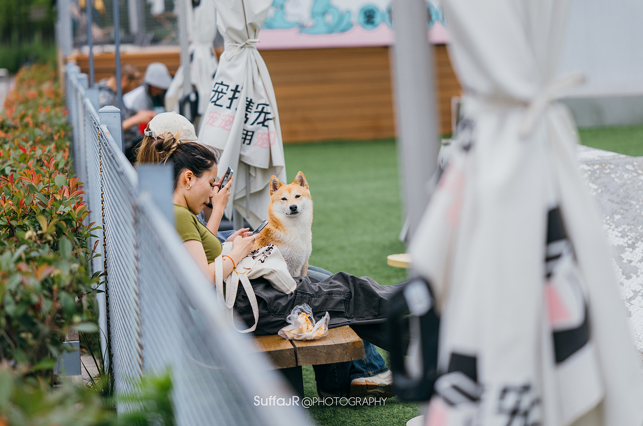 街头摄影 I 世博公园&滨江