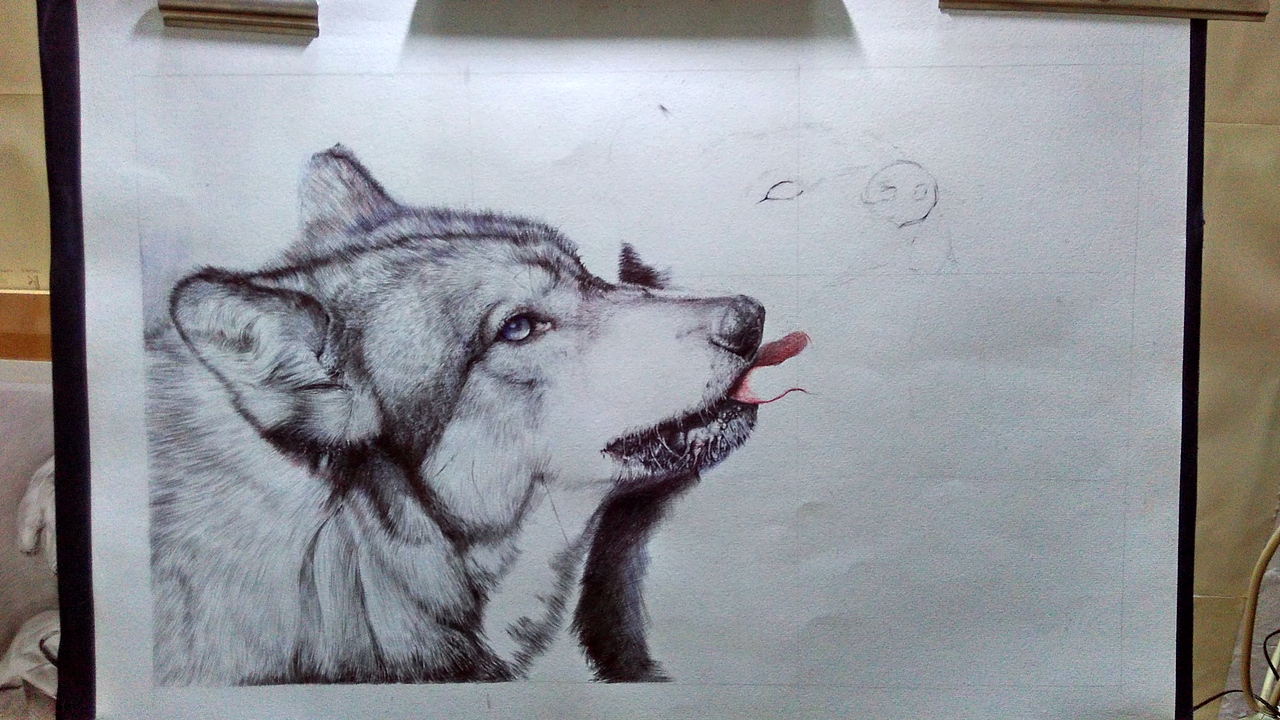 hst圆珠笔画狼