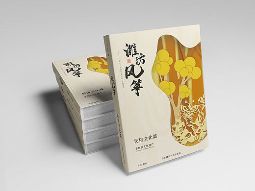 风筝/书籍封面/传统