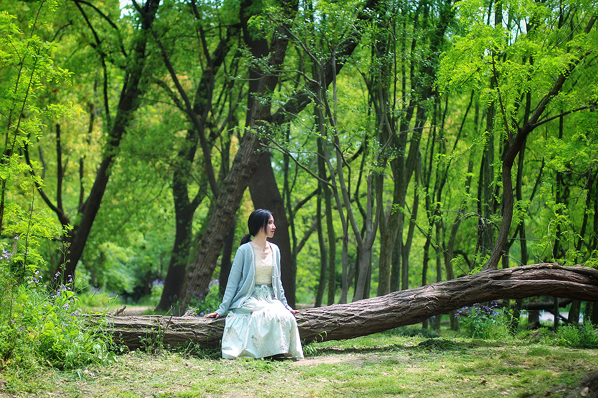 【保护色】绣线菊（图ZMjkxMzg1MDYw） - 艺术插画 - 站酷设计师蔓玫原创素材 - 站酷ZCOOL