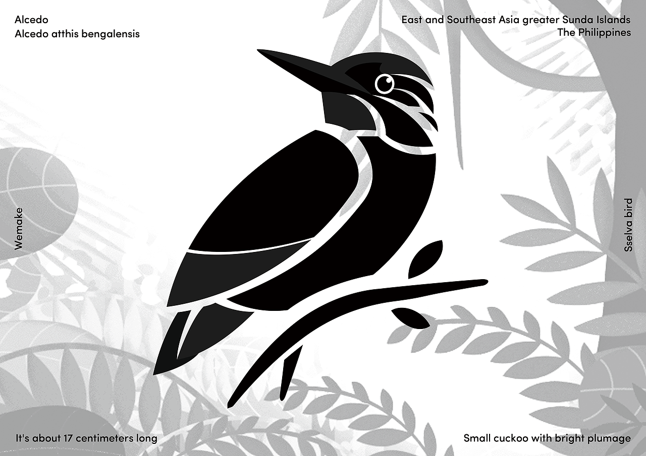 UI app界面_雨林飞羽（图ZMjI4ODUzNTg4） - APP界面 - 站酷设计师突突突G原创素材 - 站酷ZCOOL