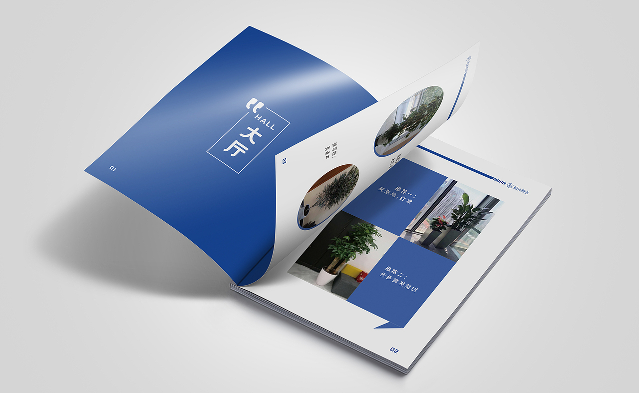 画册/宣传册设计