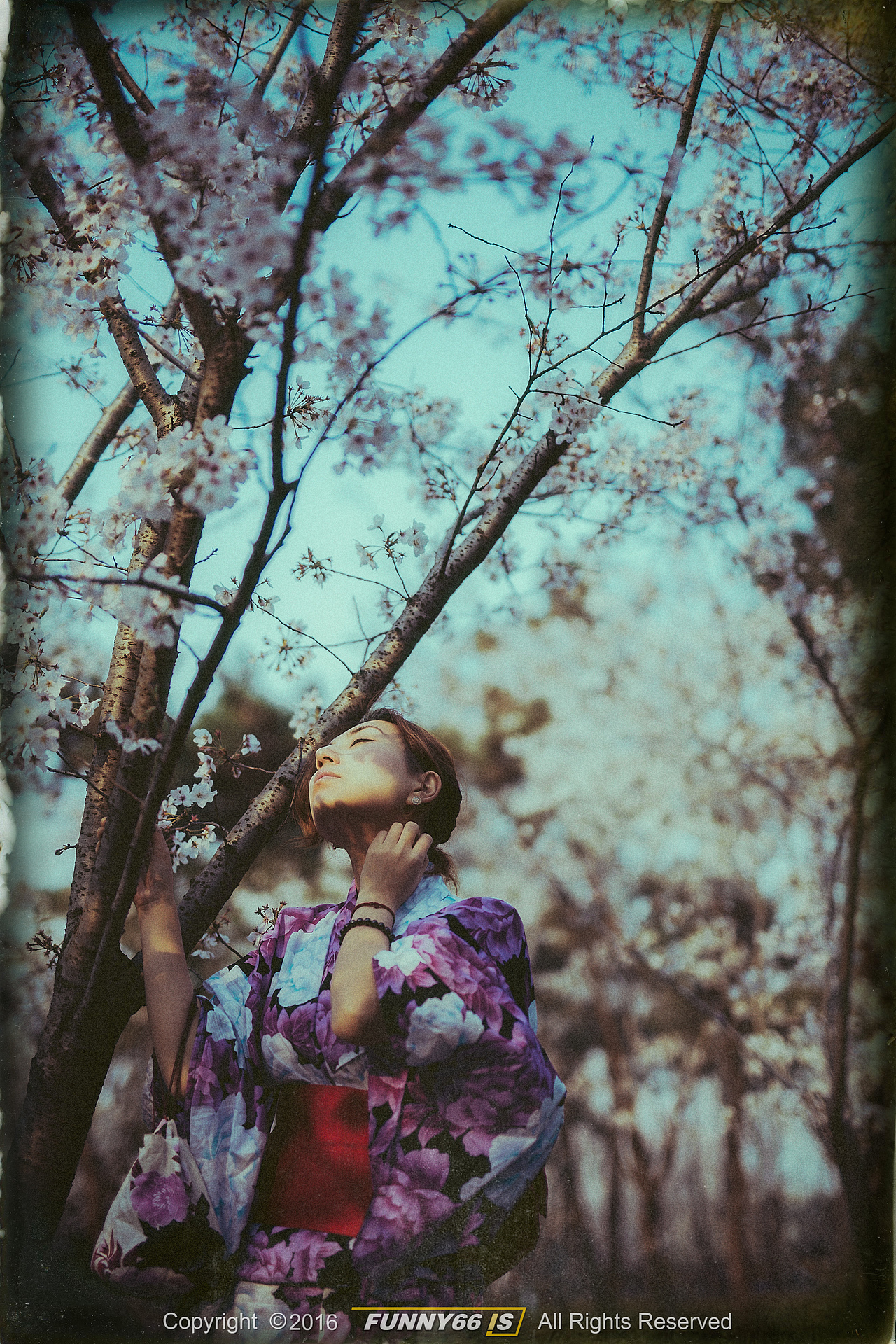 【隕落の花季】（图ZMTcxODU5Nzgw） - 人像摄影 - 站酷设计师Funny66IS原创素材 - 站酷ZCOOL