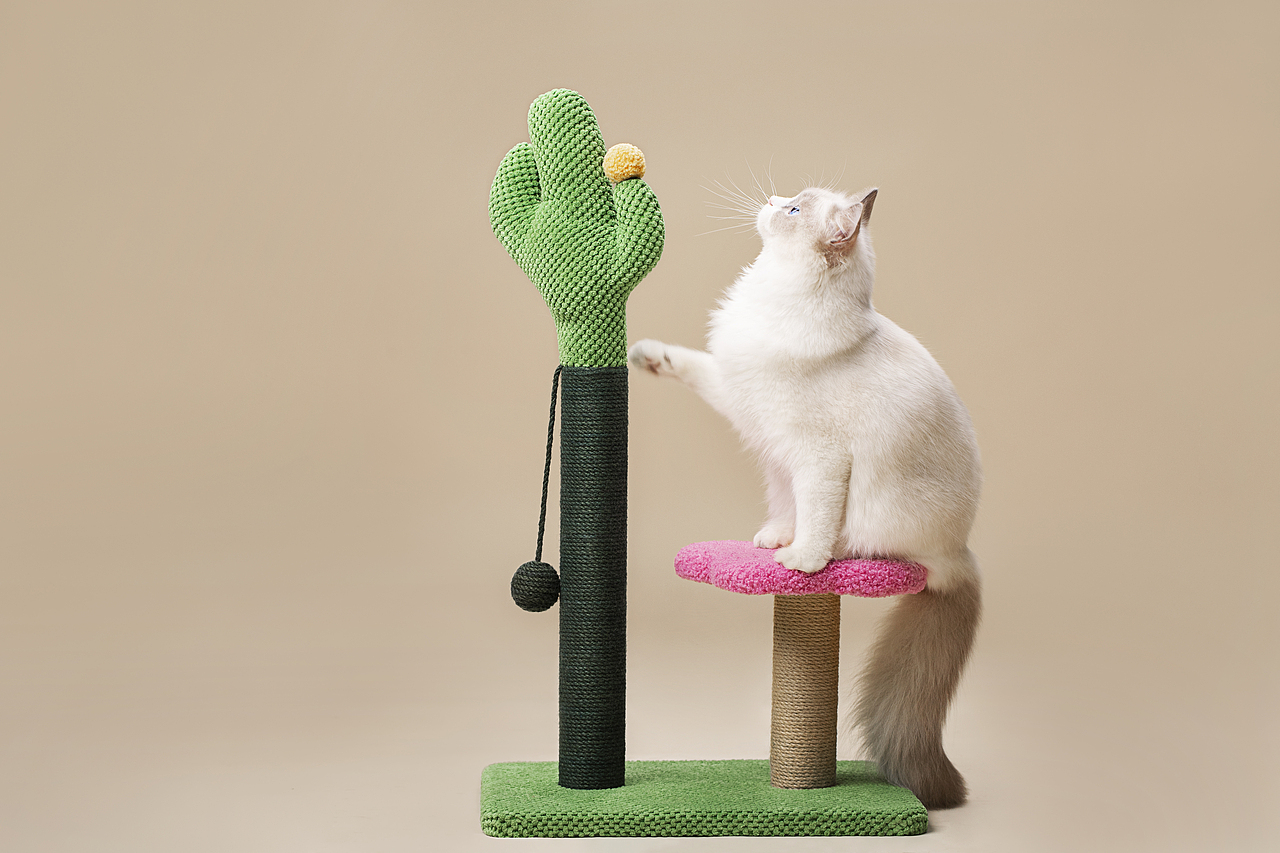 猫爬架猫玩具拍摄（图ZMjUxNjYyMDg4） - 产品摄影 - 站酷设计师宠物产品摄影原创素材 - 站酷ZCOOL