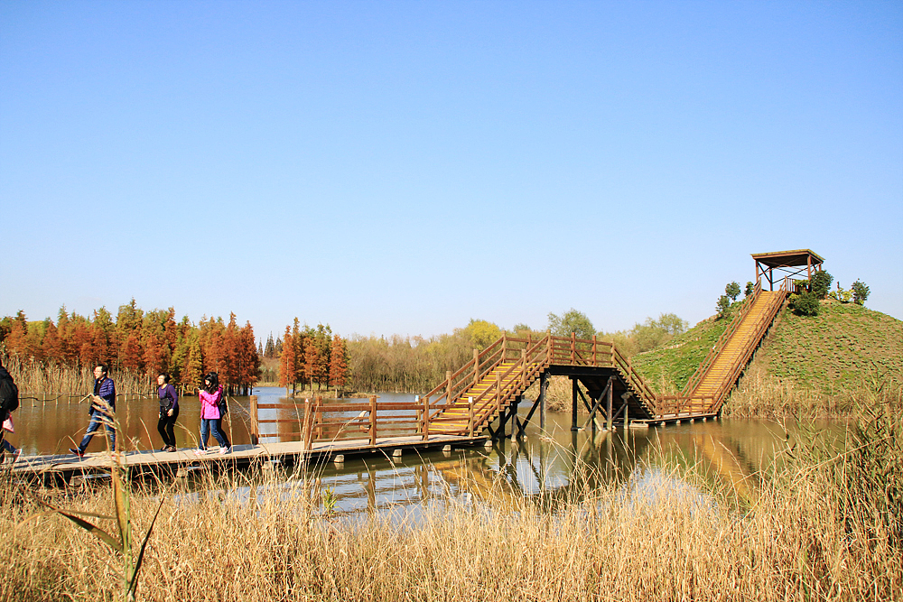 崇明西沙湿地（图ZNjUyODA0MTY=） - 风光摄影 - 站酷设计师1174337661原创素材 - 站酷ZCOOL