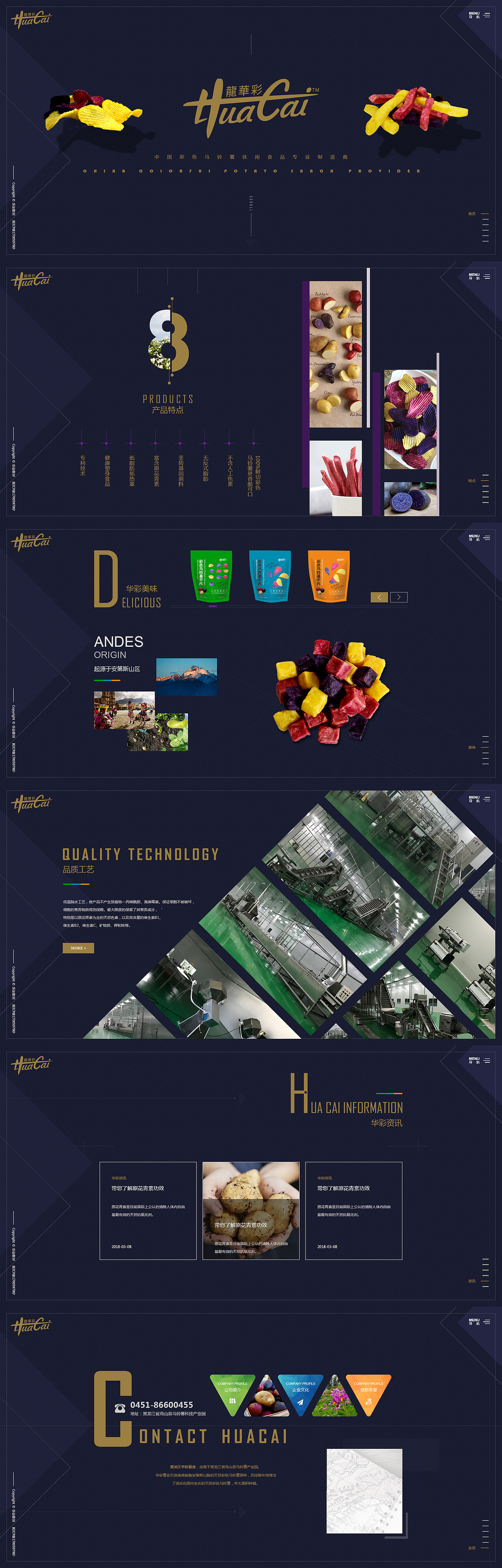 一个食品企业|薯条薯片