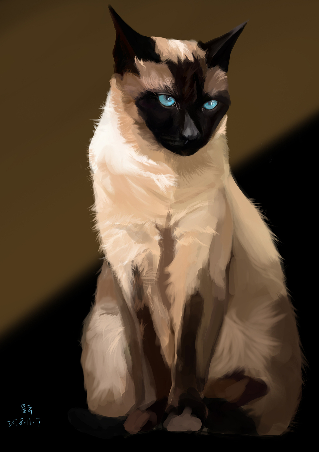 一只暹罗猫（图ZMTM0MjQ2MDQ4） - 创作习作 - 站酷设计师老北京方便面原创素材 - 站酷ZCOOL