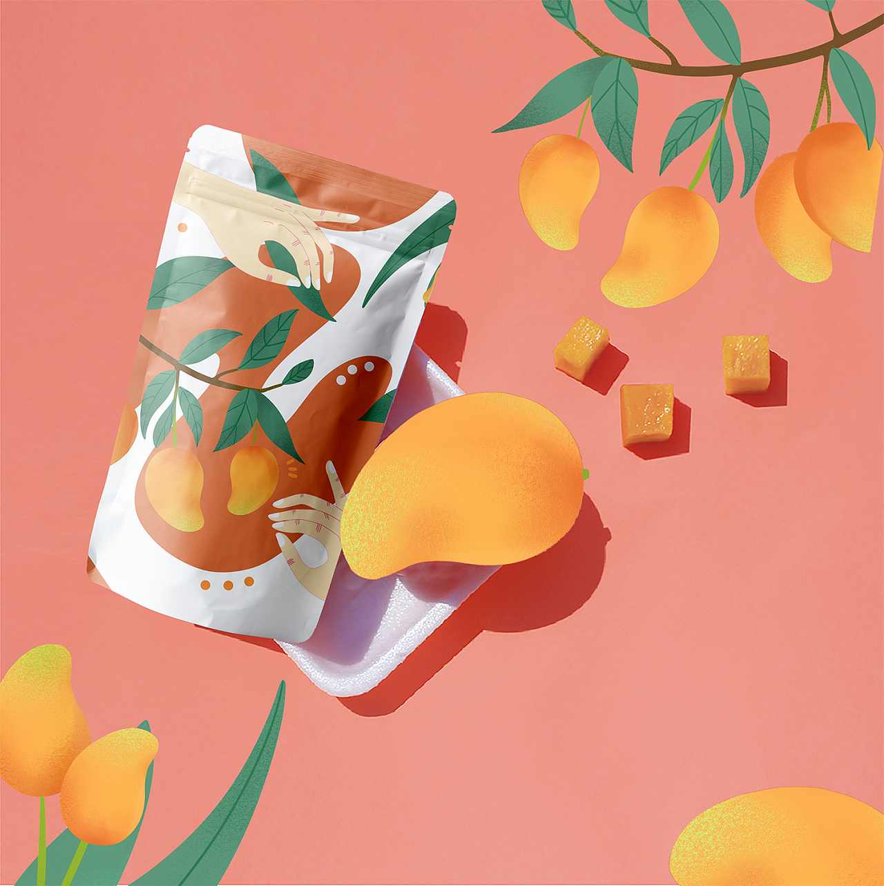 水果干插画包装设计