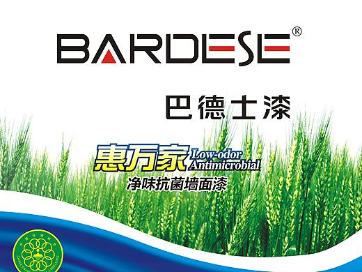 巴德士艺术漆——产品图集