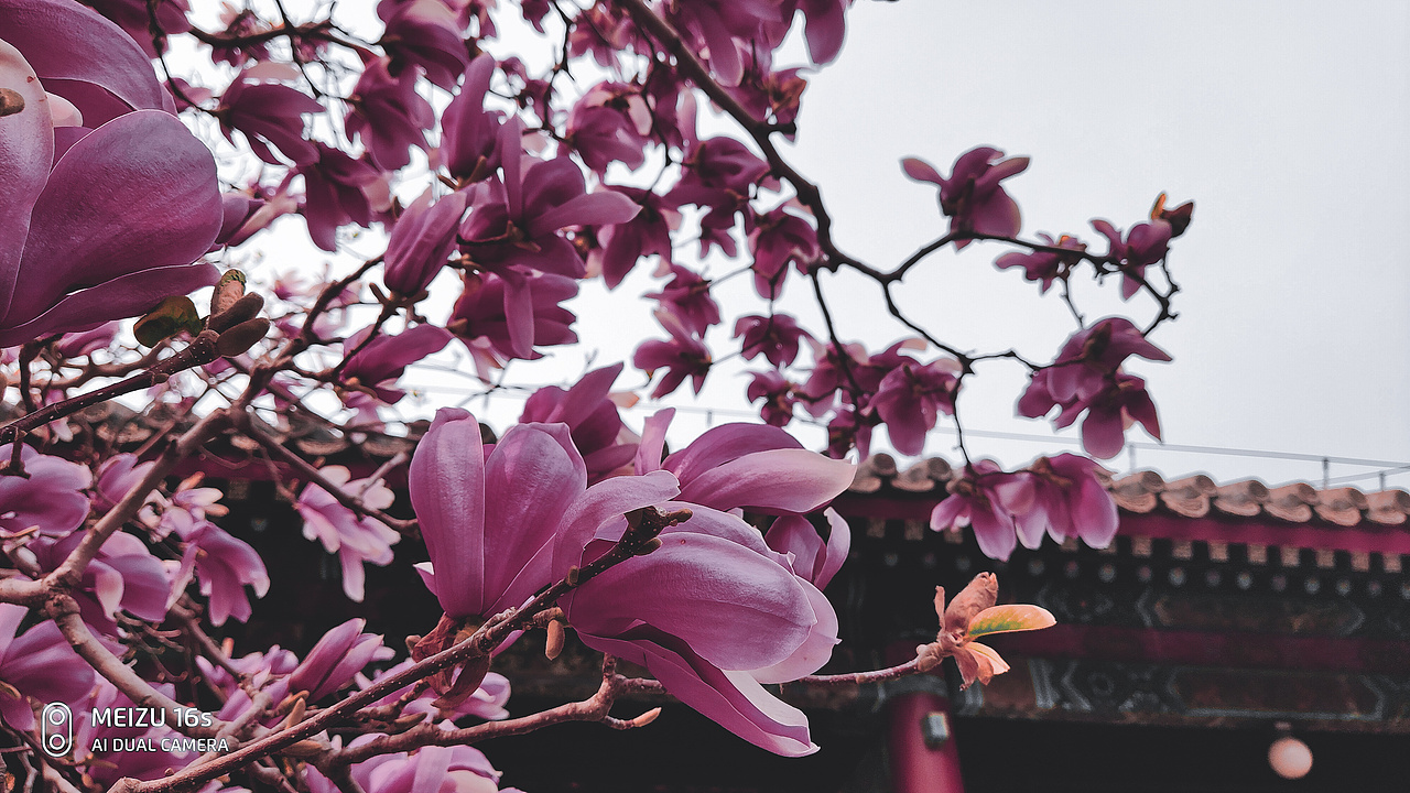 yyiyihyiheyihey颐和园