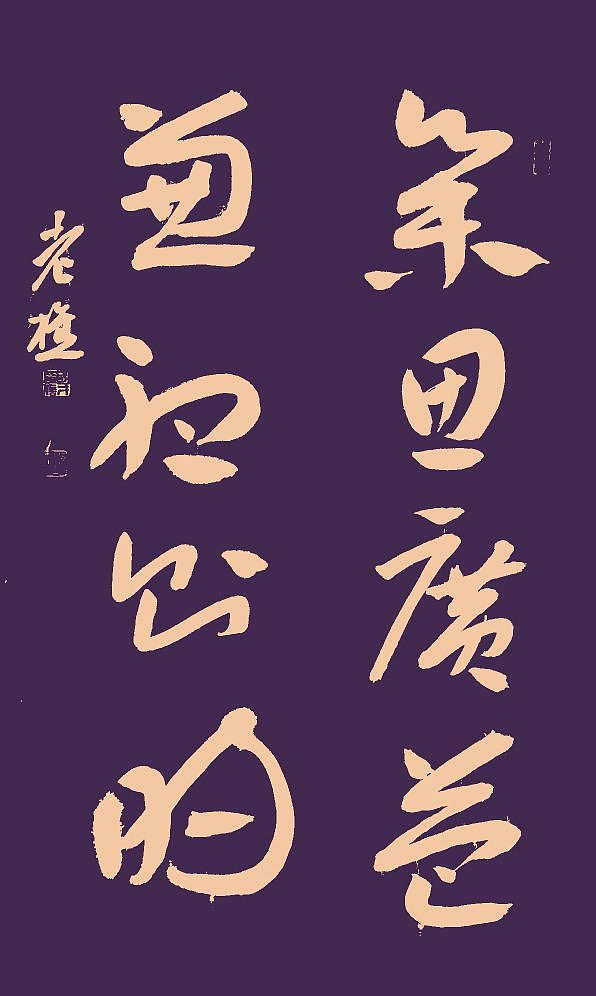 老樵先生书法作品展【图片资料】（图ZMzQxMzU5OTM2） - 书法 - 站酷设计师无名隐士666原创素材 - 站酷ZCOOL