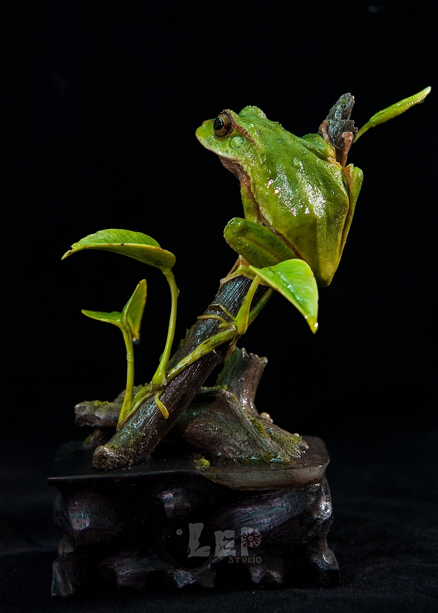 翡翠树蛙涂装完成