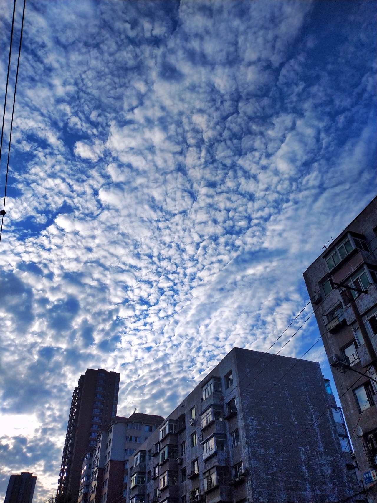 《随手拍》--晴天.阴天.傍晚