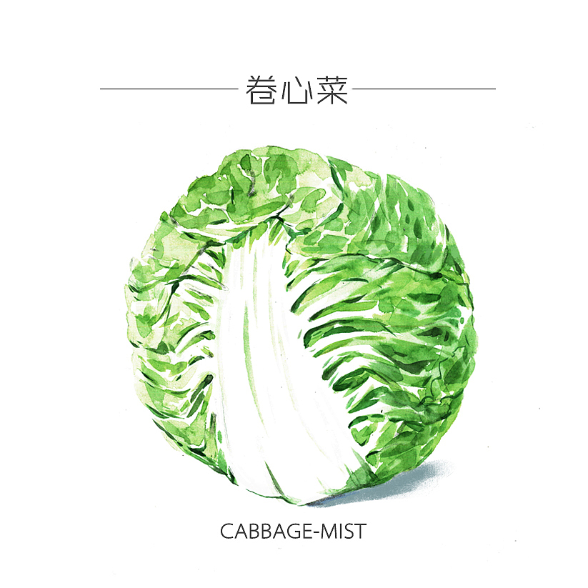 人类食谱-蔬菜（图ZMzY4MDg5NTI=） - 商业插画 - 站酷设计师反派放映原创素材 - 站酷ZCOOL