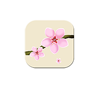 手机古风图标系列