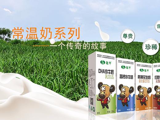 网页设计