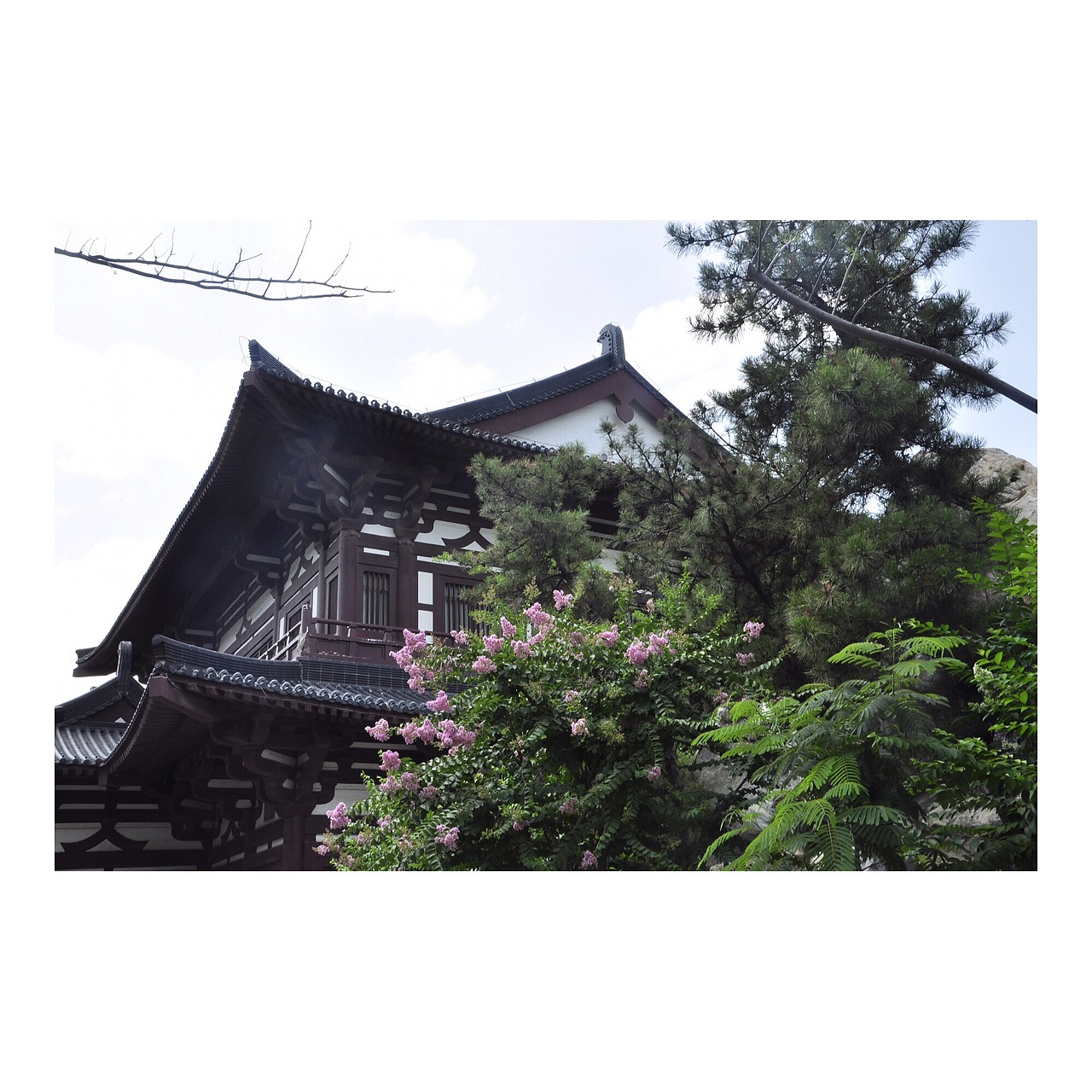 旅行×西安（图ZNTM5ODMxNDQ=） - 风光摄影 - 站酷设计师锅包又又又又又又原创素材 - 站酷ZCOOL