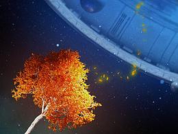 octane渲染练习作品