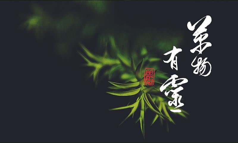 手写书法logo 万物有灵