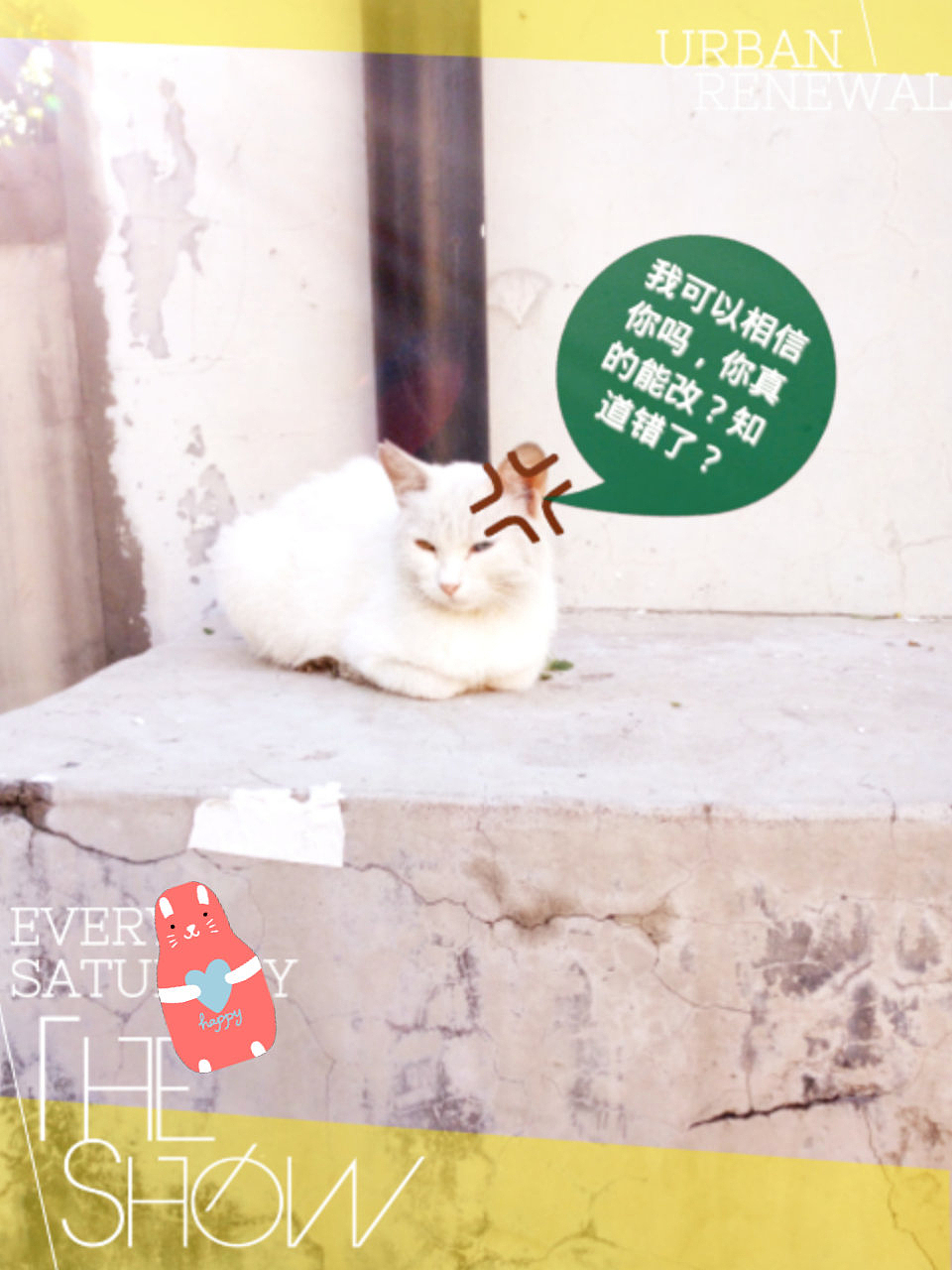 喵星人的世界……（图ZNjQ5OTYxOTI=） - 宠物摄影 - 站酷设计师张张大师原创素材 - 站酷ZCOOL