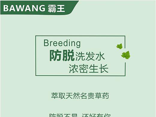 霸王洗发水海报