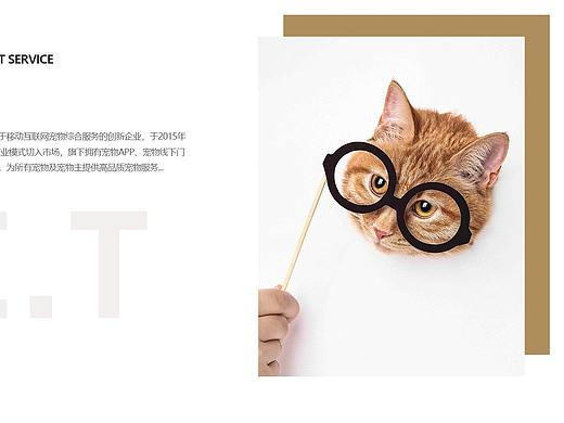 有宠企业一屏式网页