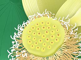 《认真画插画》-残荷