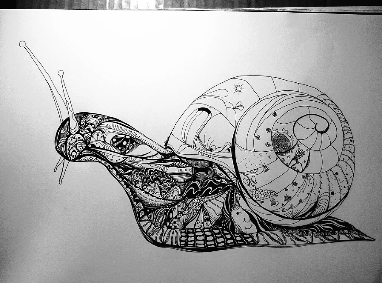蜗牛的梦想桌面壁纸_唯美壁纸_墨鱼部落格