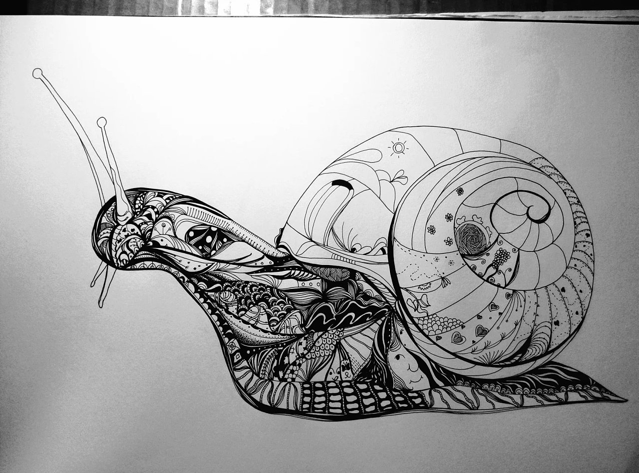 1200蜗牛黑白蜗牛绘出惊艳的人物矢量图插图分离 向量例证. 插画 包括有 房子, 敌意, 艺术, 图画 - 192116136