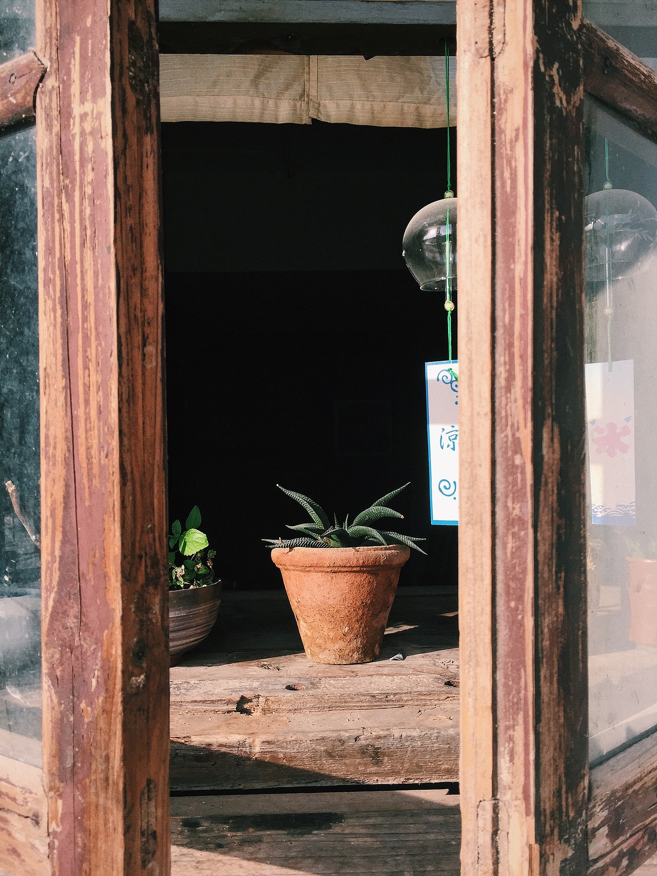 镜头下的微厦门