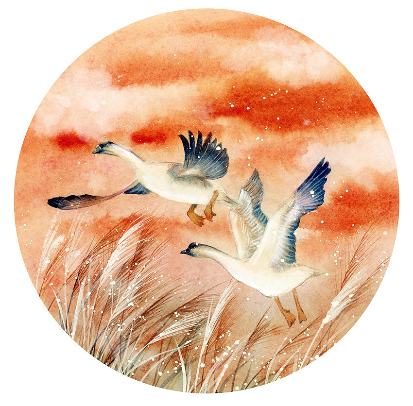 2019年终插画总结（图ZMTkxNDE0NTY4） - 商业插画 - 站酷设计师瑶背背原创素材 - 站酷ZCOOL