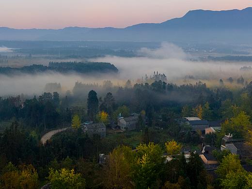 叶子不黄~岁月不老