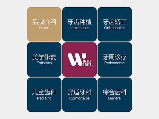 维乐口腔品牌三折页