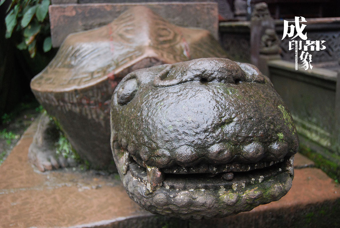 成都印象（1）原创（图ZMjM2ODcy） - 风光摄影 - 站酷设计师马强原创素材 - 站酷ZCOOL