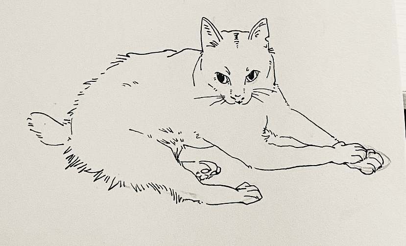 扬帆起航——进入新时期的作品集