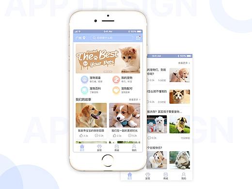 宠物APP