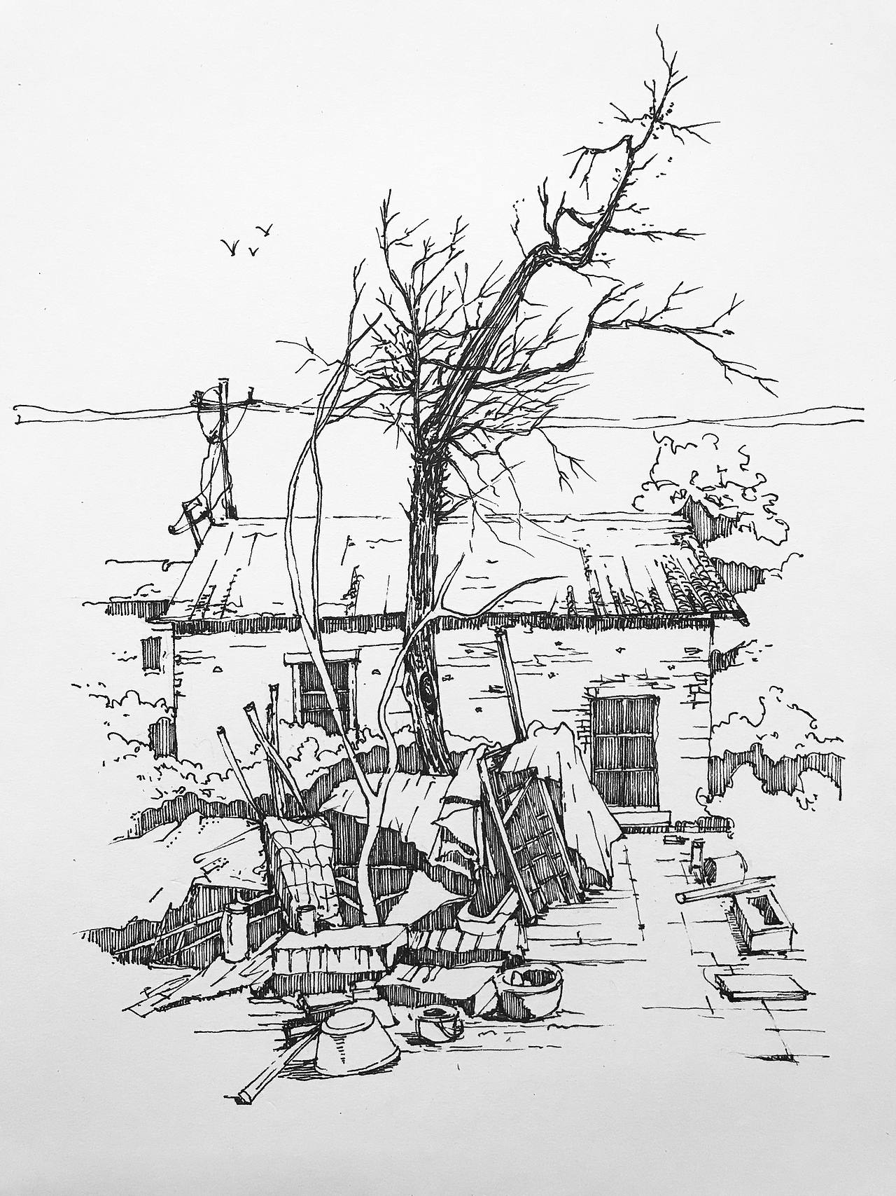 名义上的绘画师