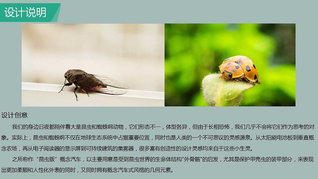 昆虫概念车(参赛作品)