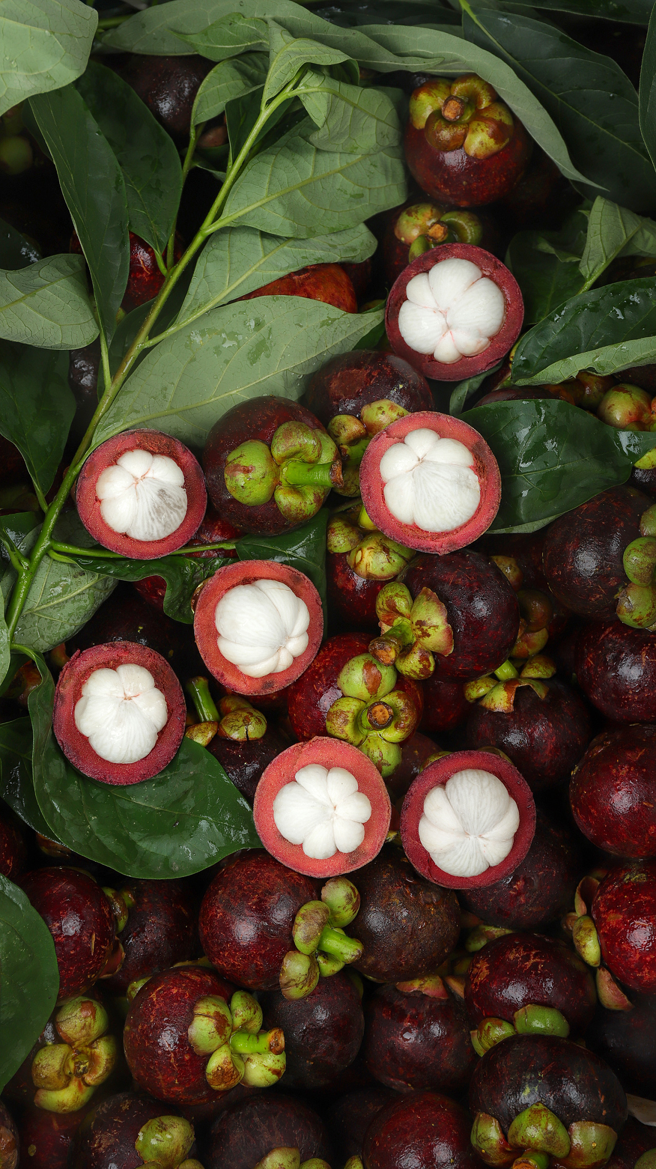 水果拍摄-泰国山竹