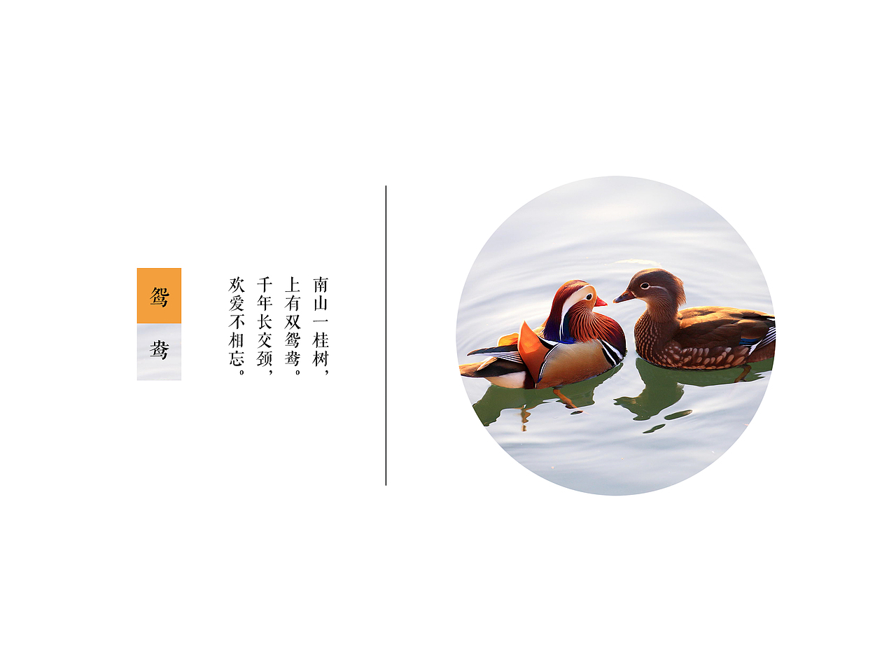 情缘三首 《相思 契爱 鸳鸯》（图ZNTU2MzY2NDA=） - 生活用品 - 站酷设计师sam_smith原创素材 - 站酷ZCOOL