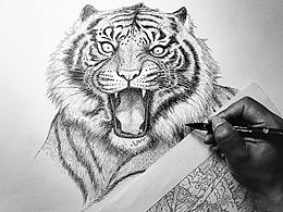 插画