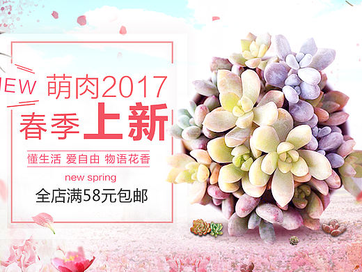 多肉春季上新海报