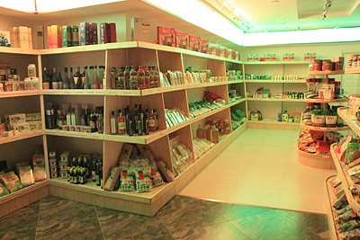 生态小镇专卖店（图ZMzA3NTA2OA==） - 其他 - 站酷设计师谭敦超原创素材 - 站酷ZCOOL
