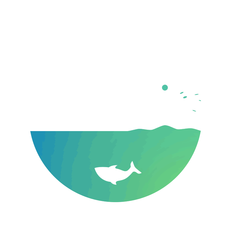 如何利用曲线来模拟各种真实的物理运动