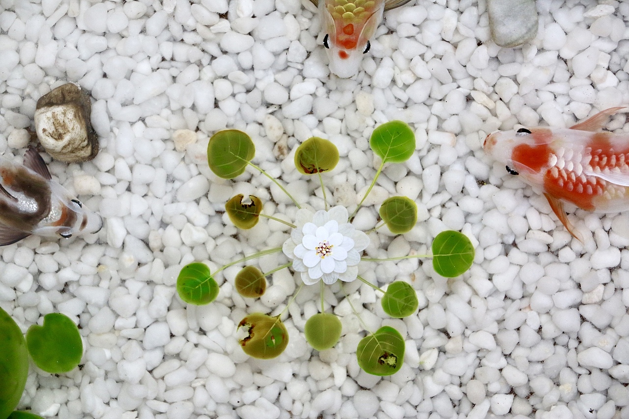 树脂画2021新作集（图ZMjYzNDI1NDYw） - 绘画 - 站酷设计师跃然脂上原创素材 - 站酷ZCOOL