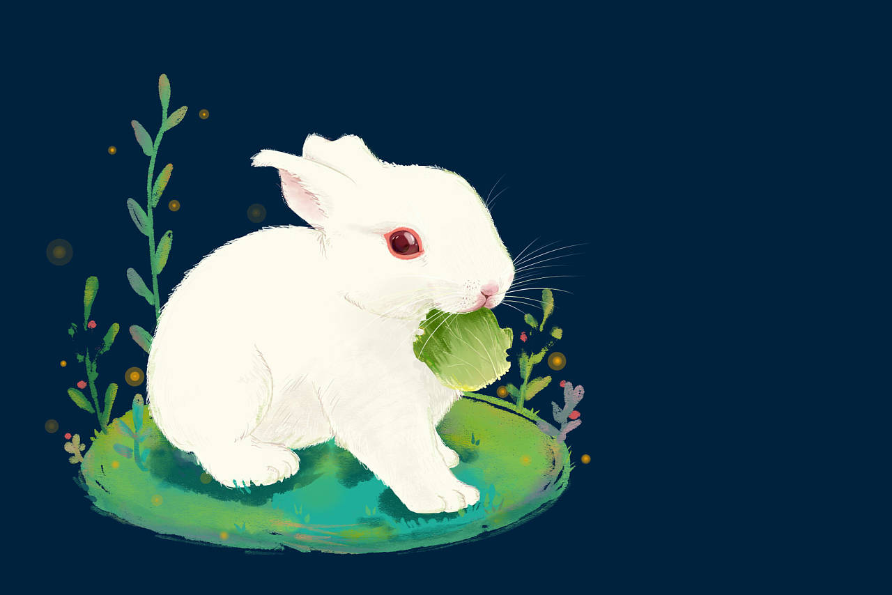 兔子|插画|艺术插画|樱仔_ - 原创作品 - 站酷 (zcool)
