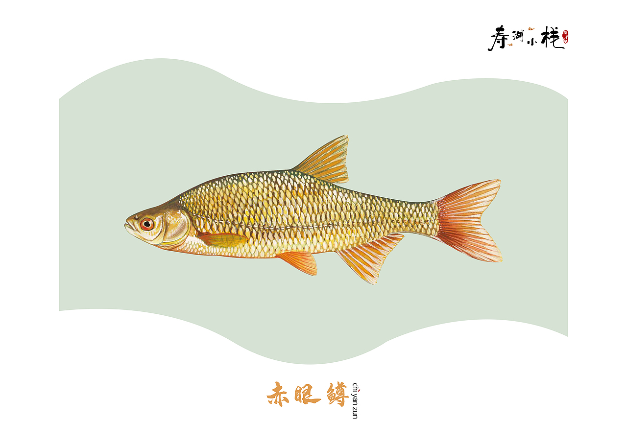 《鱼》（图ZMTYwNDE4NjY4） - 书籍/画册 - 站酷设计师ANEAL原创素材 - 站酷ZCOOL