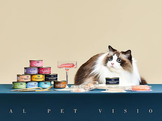 宠物产品摄影/宠物食品/宠物产品视频之几款猫咪食品