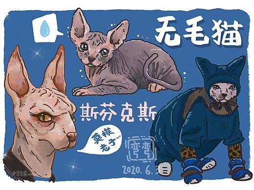 世界真奇妙--动物速写打卡
